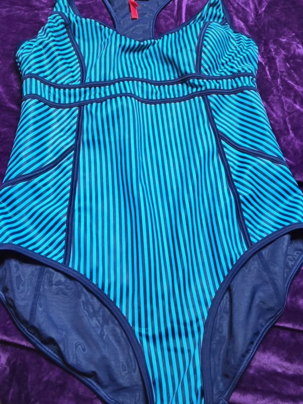 SPANX Teal and Navy Striped One-Piece Swimsuit